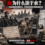 血为什么淡于水？